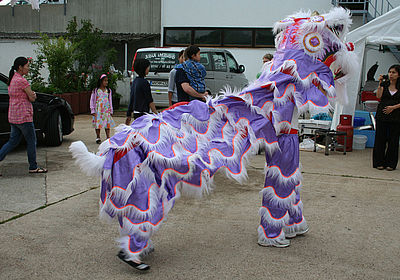 IMG 4945