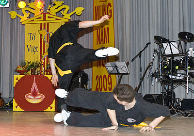  DSC6019
